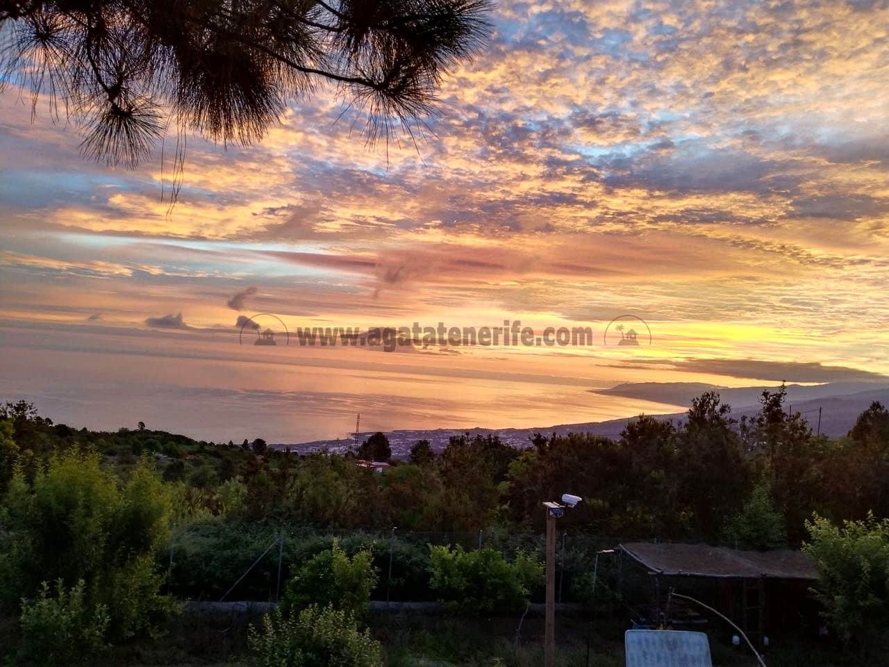 3 soverom Finca/Herregård til salgs i Icod de los Vinos med garasje - € 134 000 (Ref: 8814213)