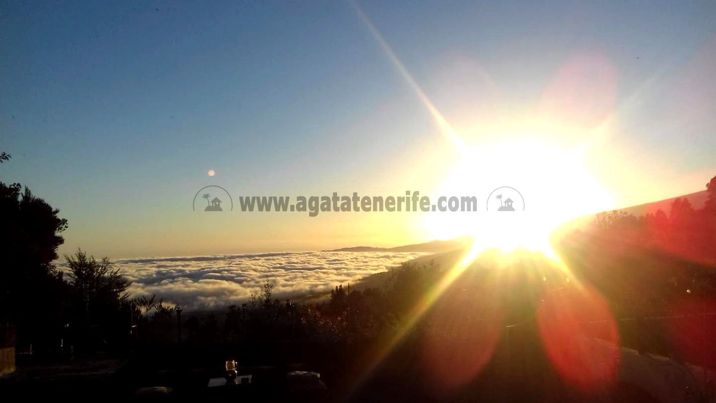 3 soverom Finca/Herregård til salgs i Icod de los Vinos med garasje - € 134 000 (Ref: 8814213)