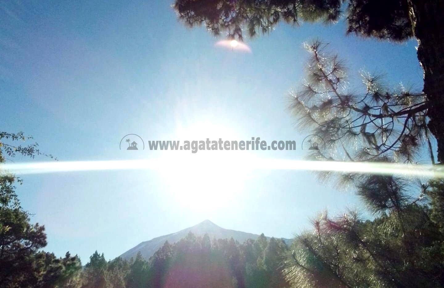 3 soverom Finca/Herregård til salgs i Icod de los Vinos med garasje - € 134 000 (Ref: 8814213)