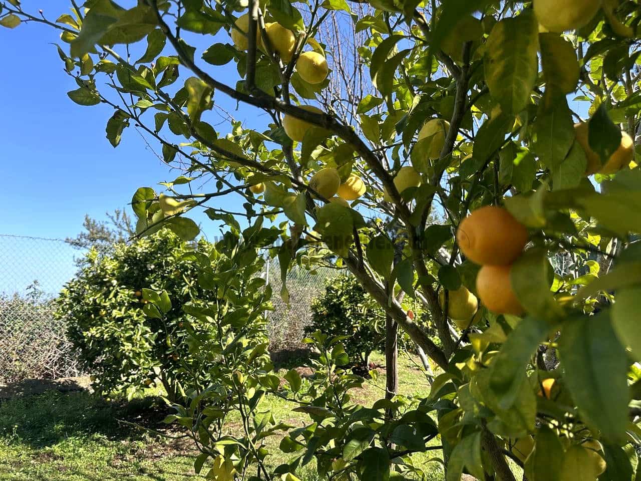 3 soverom Finca/Herregård til salgs i Icod de los Vinos med garasje - € 134 000 (Ref: 8814213)