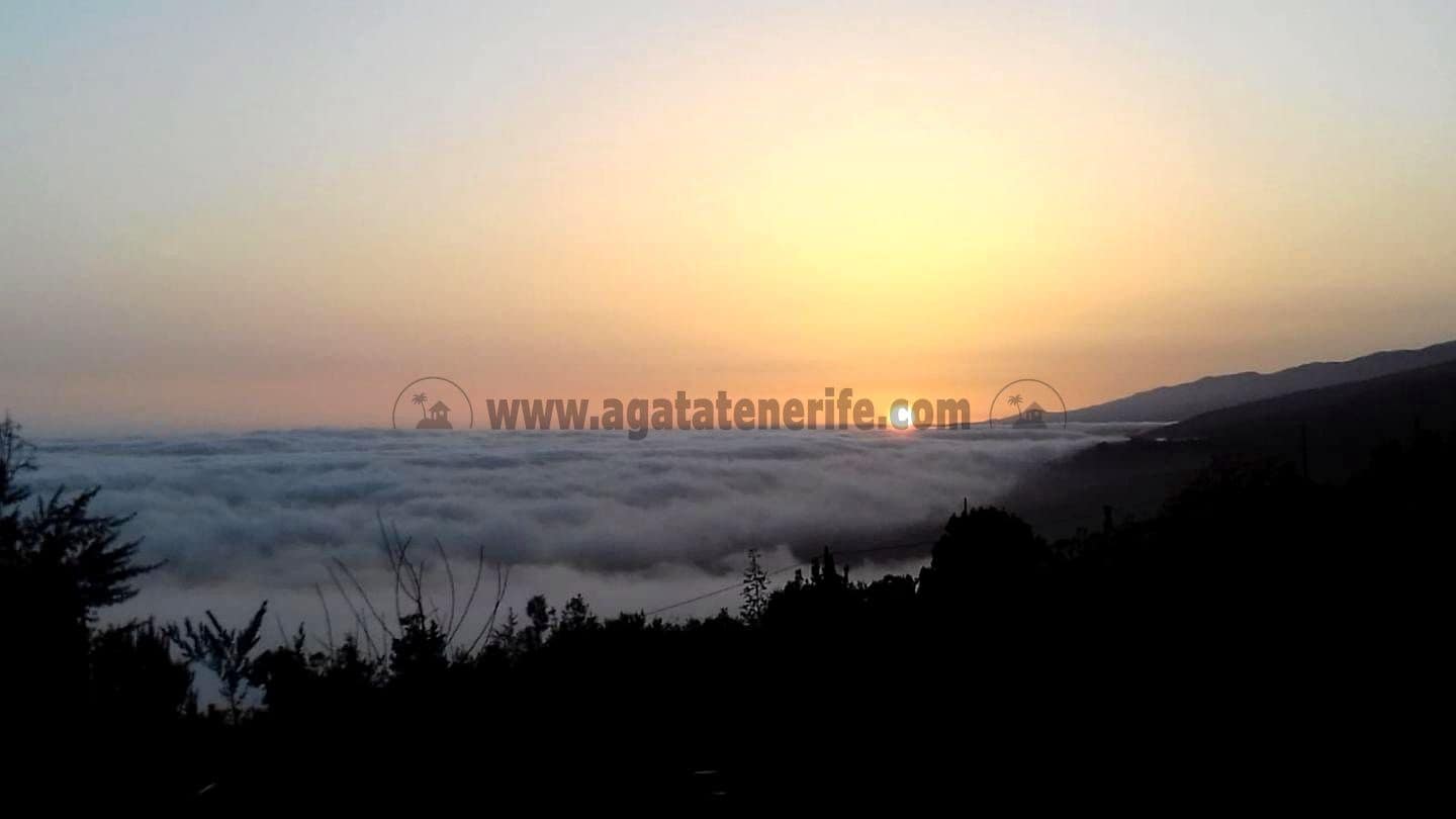 3 soverom Finca/Herregård til salgs i Icod de los Vinos med garasje - € 134 000 (Ref: 8814213)