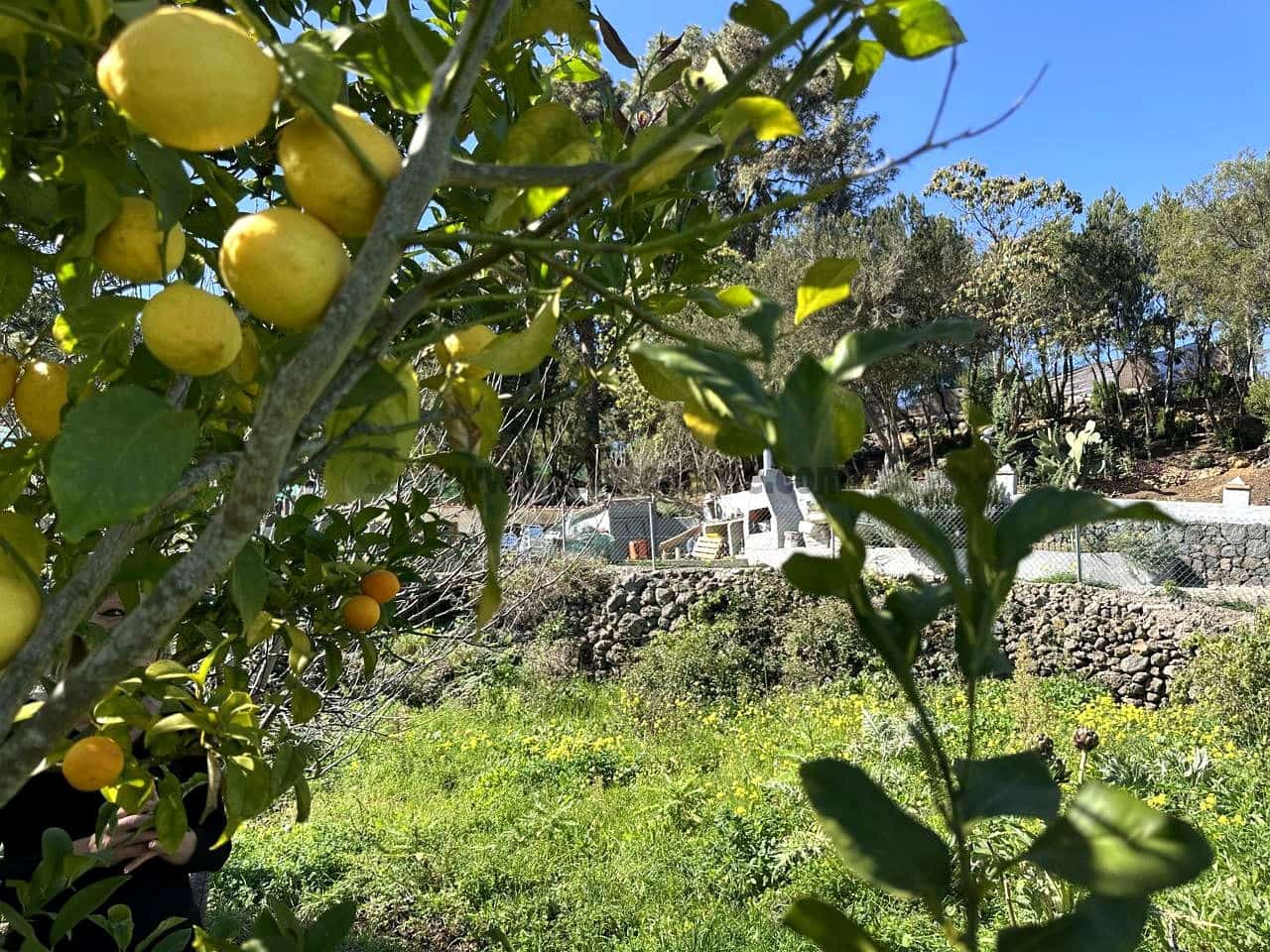 3 soverom Finca/Herregård til salgs i Icod de los Vinos med garasje - € 134 000 (Ref: 8814213)