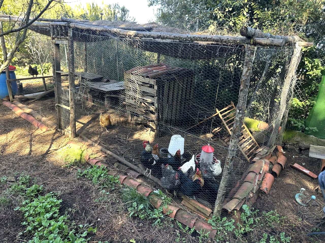 3 soverom Finca/Herregård til salgs i Icod de los Vinos med garasje - € 134 000 (Ref: 8814213)