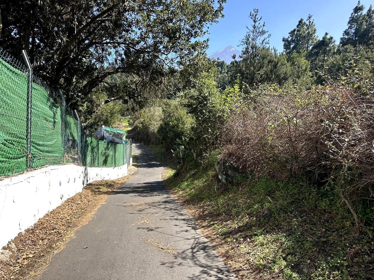 3 soverom Finca/Herregård til salgs i Icod de los Vinos med garasje - € 134 000 (Ref: 8814213)