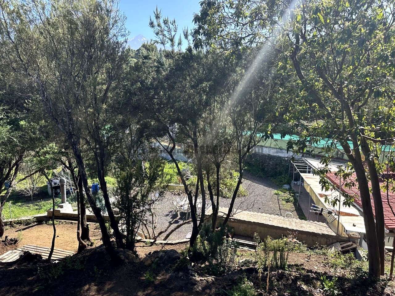 3 soverom Finca/Herregård til salgs i Icod de los Vinos med garasje - € 134 000 (Ref: 8814213)