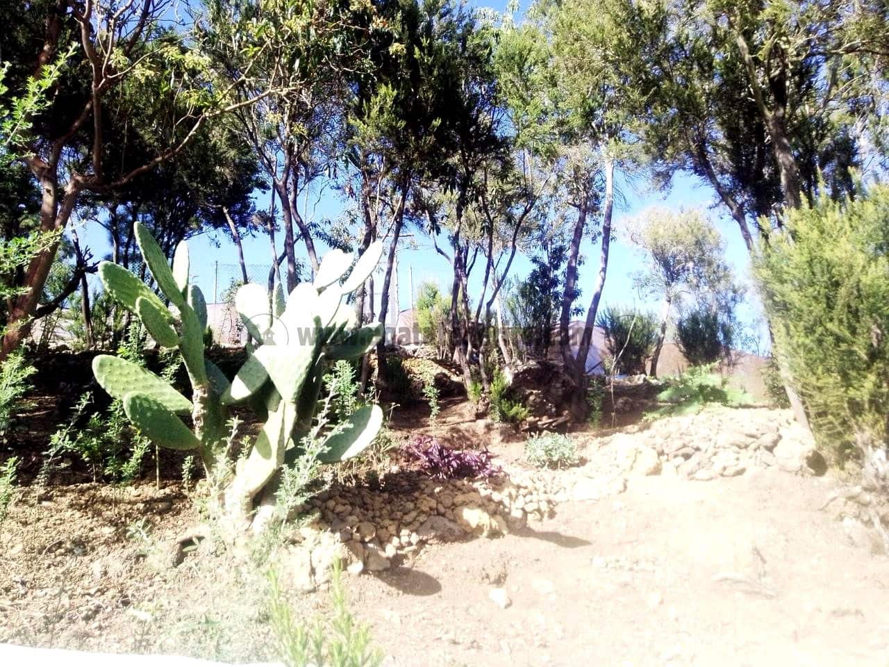 3 soverom Finca/Herregård til salgs i Icod de los Vinos med garasje - € 134 000 (Ref: 8814213)