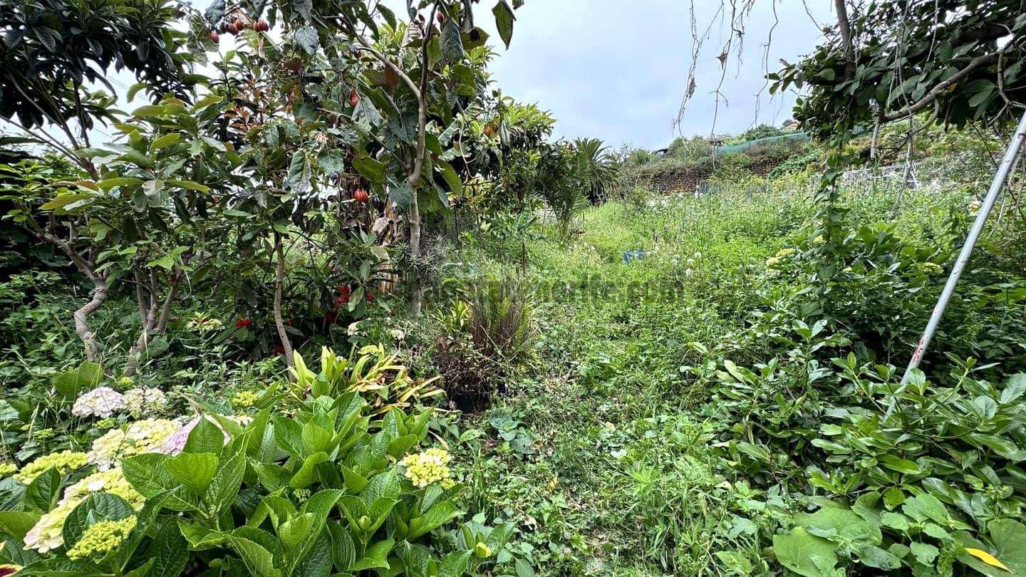 6 soveværelse Finca/Landehus til salg i Icod de los Vinos - € 270.000 (Ref: 9026287)