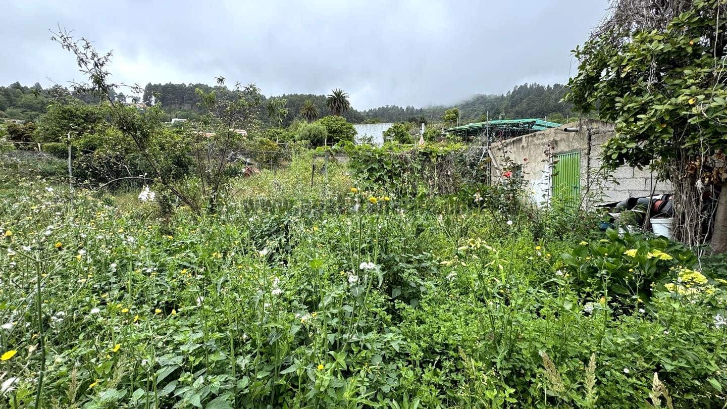 6 soveværelse Finca/Landehus til salg i Icod de los Vinos - € 270.000 (Ref: 9026287)