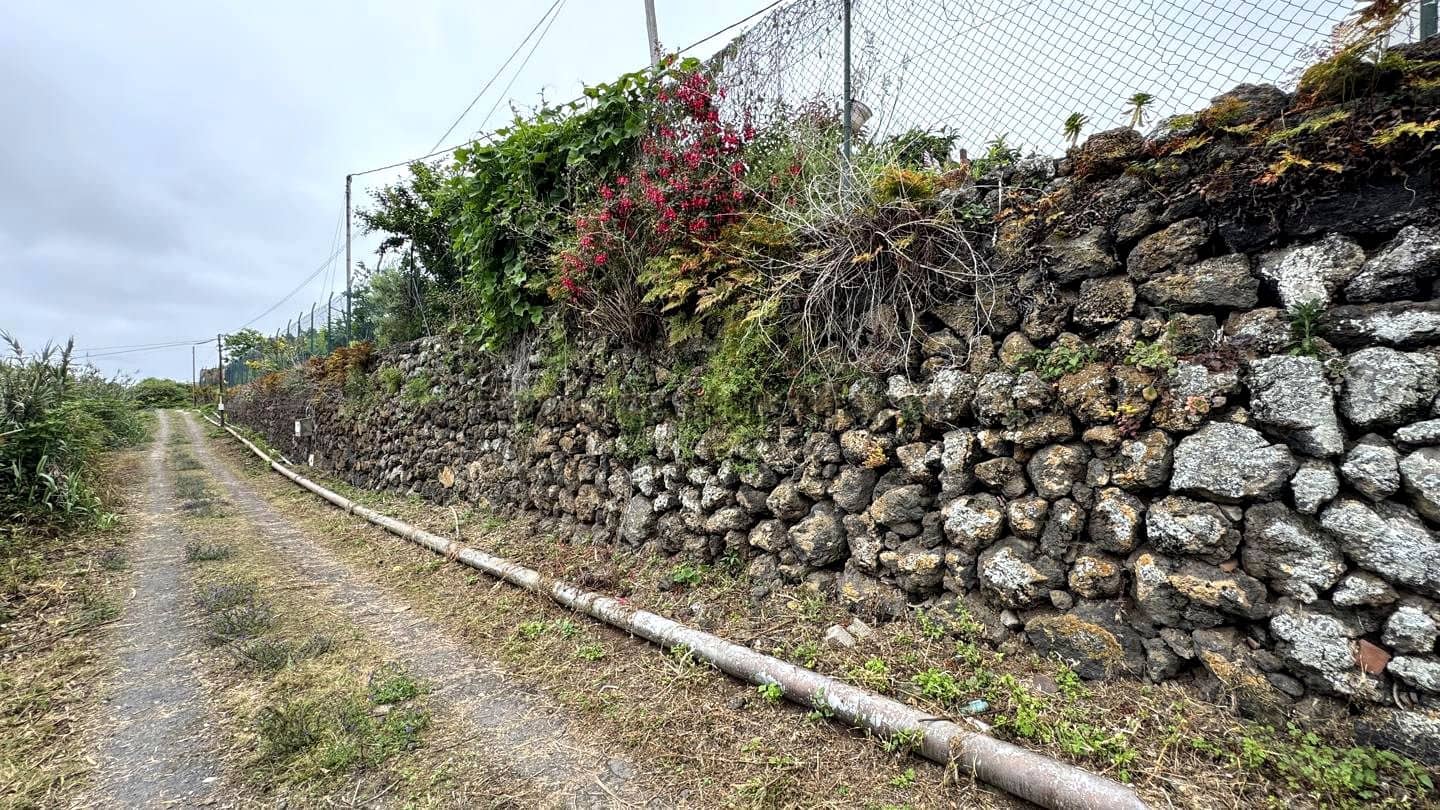 6 soveværelse Finca/Landehus til salg i Icod de los Vinos - € 270.000 (Ref: 9026287)