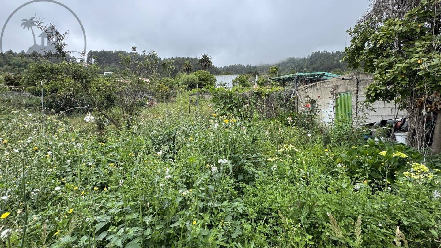 6 bedroom Finca/Country House for sale in Icod de los Vinos - € 270,000 (Ref: 9026287)