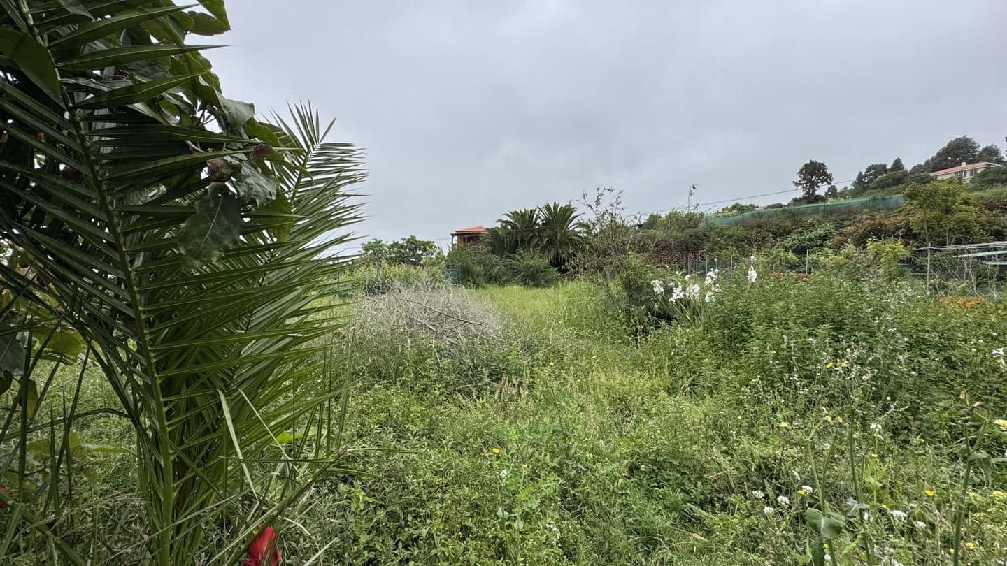 6 bedroom Finca/Country House for sale in Icod de los Vinos - € 270,000 (Ref: 9026287)