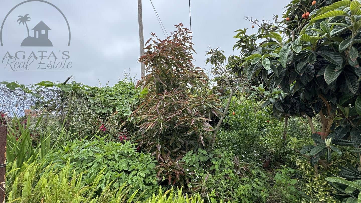 6 bedroom Finca/Country House for sale in Icod de los Vinos - € 270,000 (Ref: 9026287)