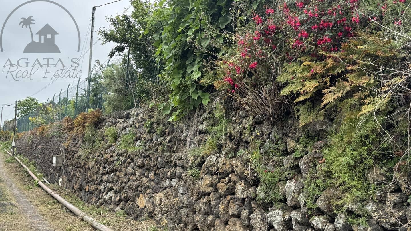 6 bedroom Finca/Country House for sale in Icod de los Vinos - € 270,000 (Ref: 9026287)