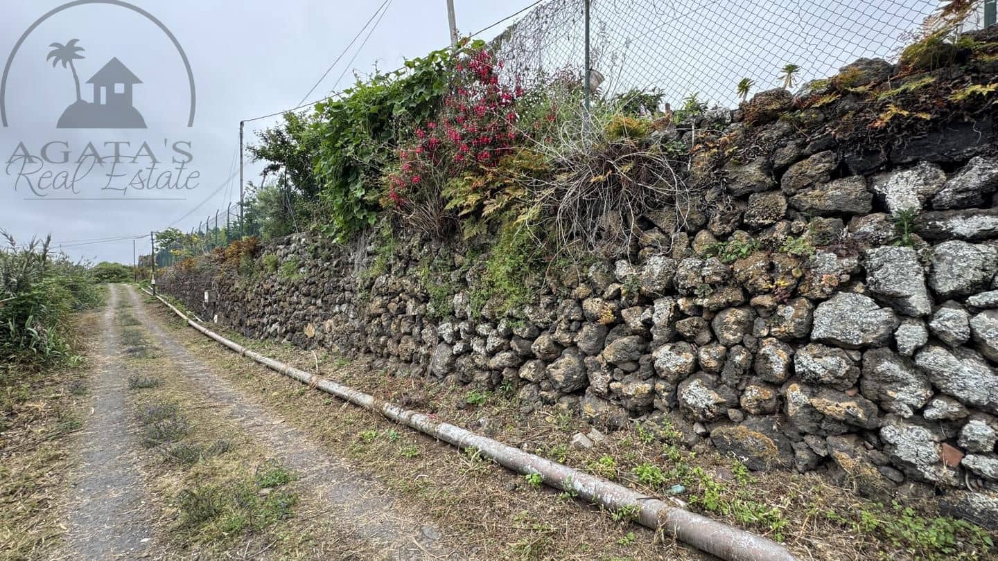 6 bedroom Finca/Country House for sale in Icod de los Vinos - € 270,000 (Ref: 9026287)