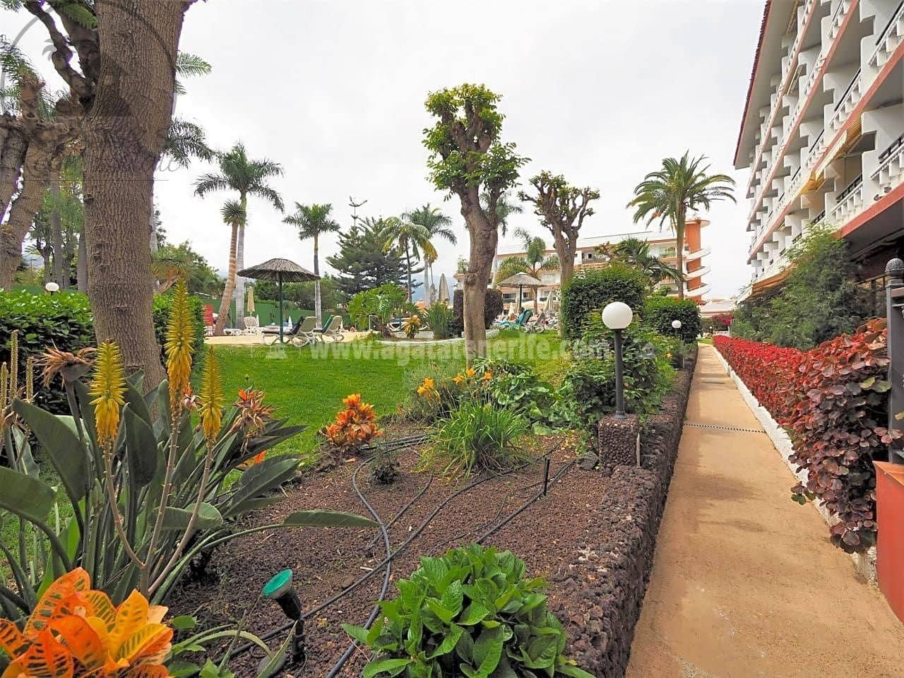 1 bedroom Flat for sale in Puerto de la Cruz with pool - € 185,000 (Ref: 9036248)