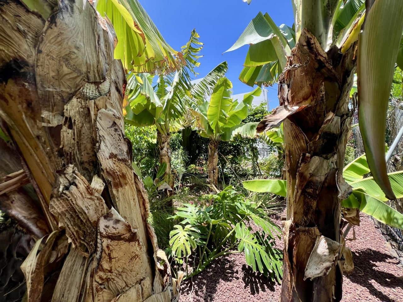 7 soveværelse Villa til salg i Garachico med garage - € 850.000 (Ref: 9062088)