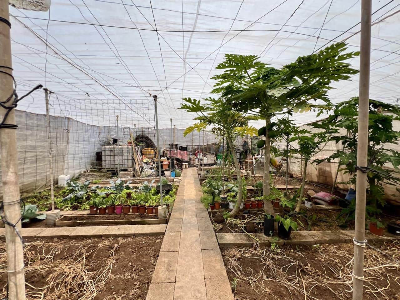 7 soveværelse Villa til salg i Garachico med garage - € 850.000 (Ref: 9062088)