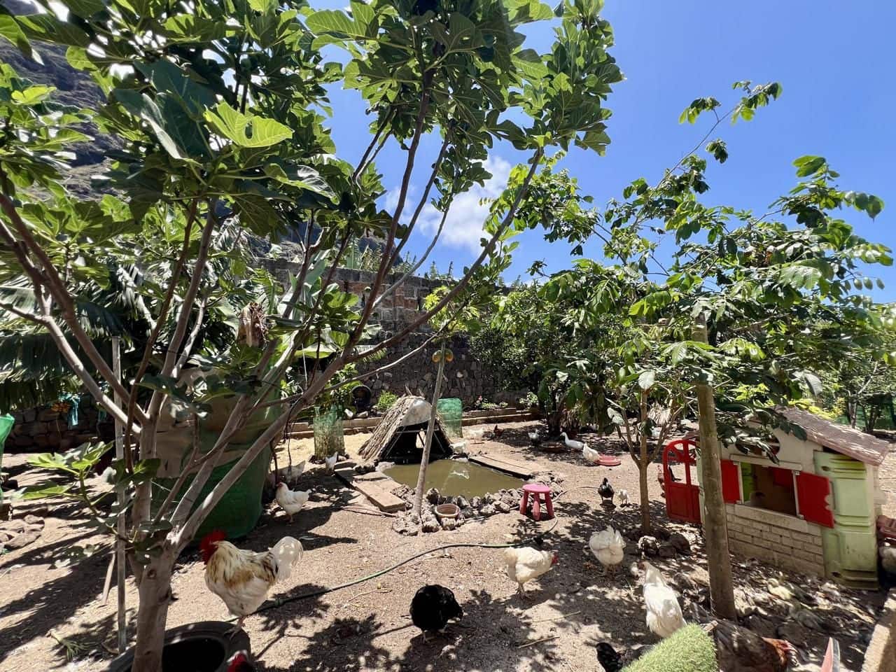 7 soveværelse Villa til salg i Garachico med garage - € 850.000 (Ref: 9062088)