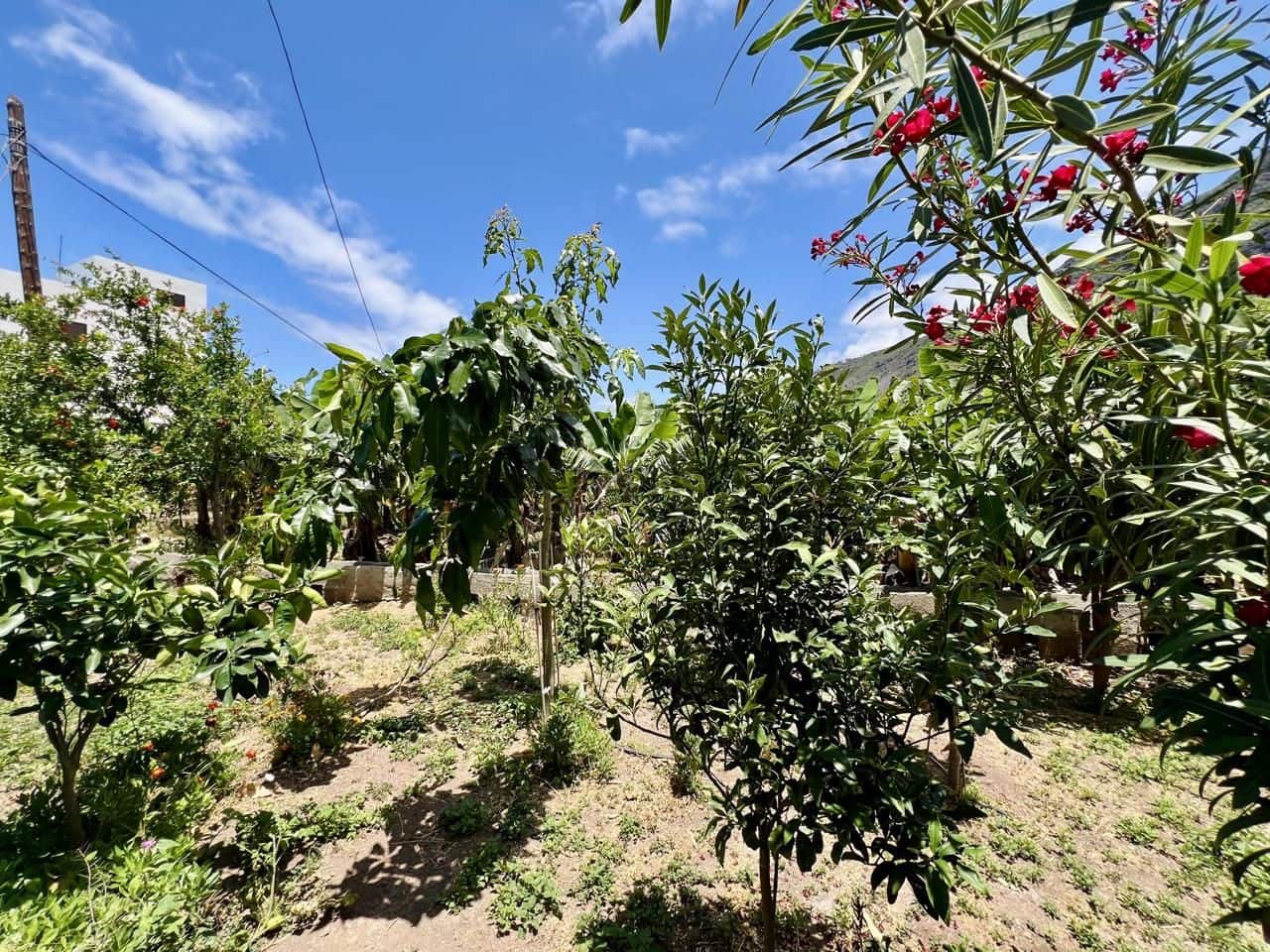 7 soveværelse Villa til salg i Garachico med garage - € 850.000 (Ref: 9062088)