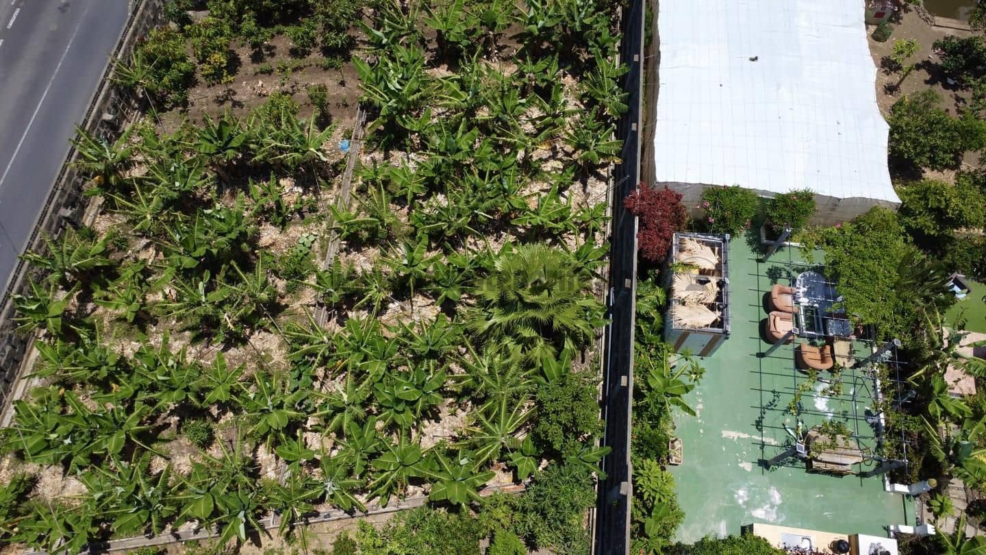 7 soveværelse Villa til salg i Garachico med garage - € 850.000 (Ref: 9062088)