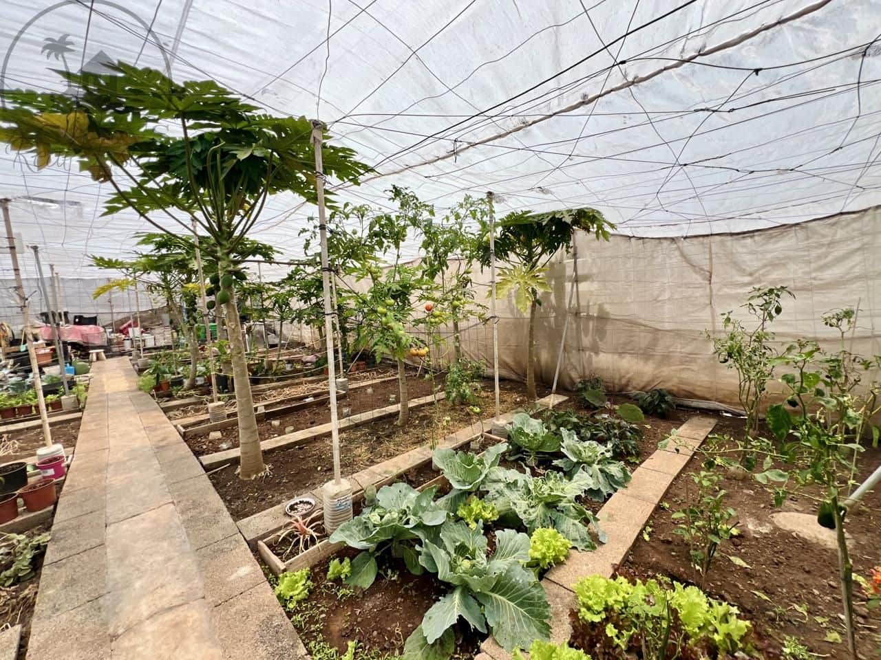 7 bedroom Villa for sale in Garachico with garage - € 850,000 (Ref: 9062088)