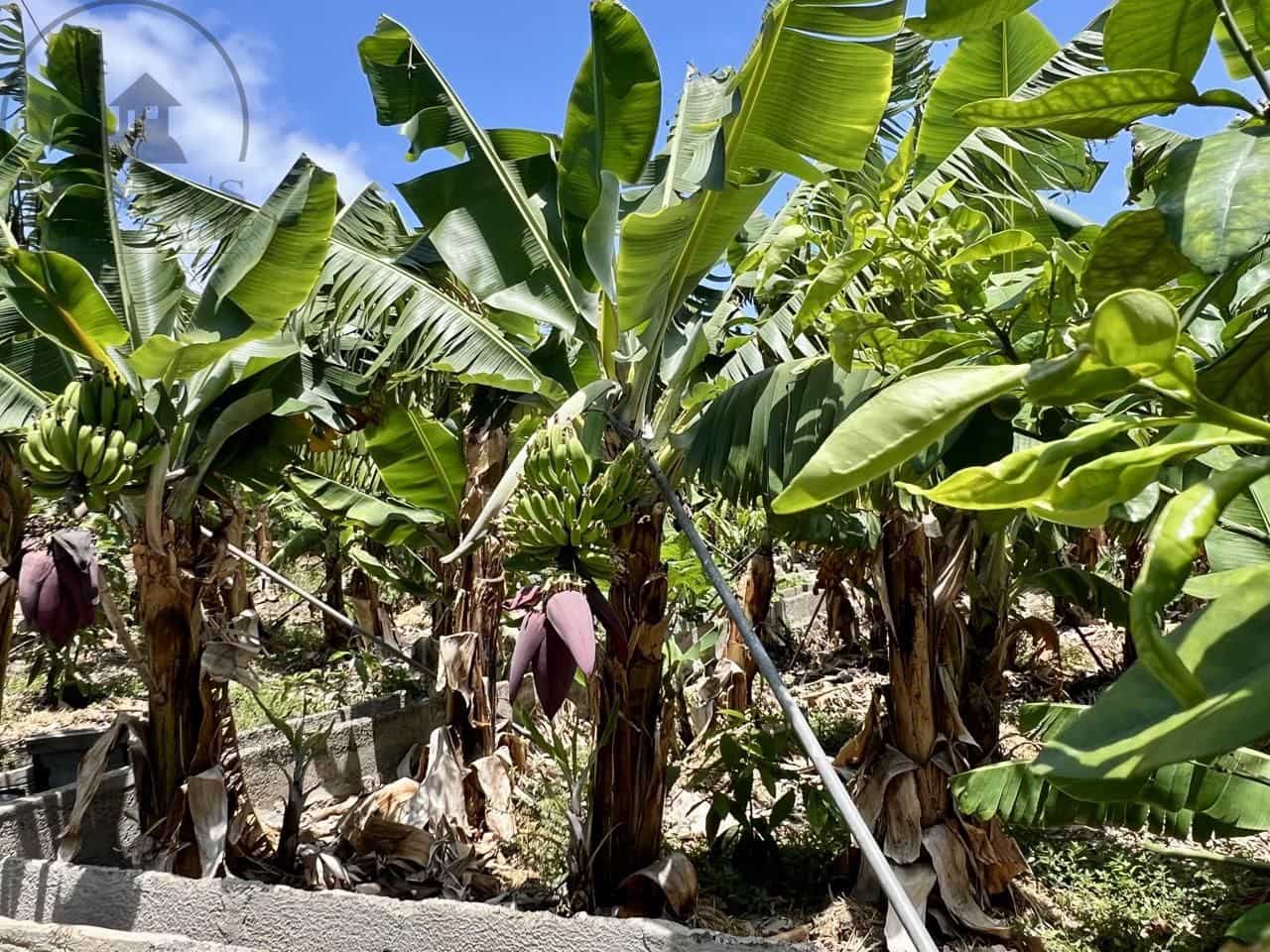 7 bedroom Villa for sale in Garachico with garage - € 850,000 (Ref: 9062088)