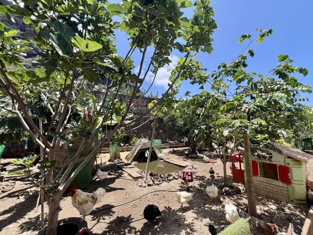 7 Zimmer Villa zu verkaufen in Garachico mit Garage - 850.000 € (Ref: 9062088)