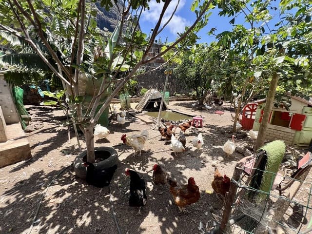 7 Zimmer Villa zu verkaufen in Garachico mit Garage - 850.000 € (Ref: 9062088)