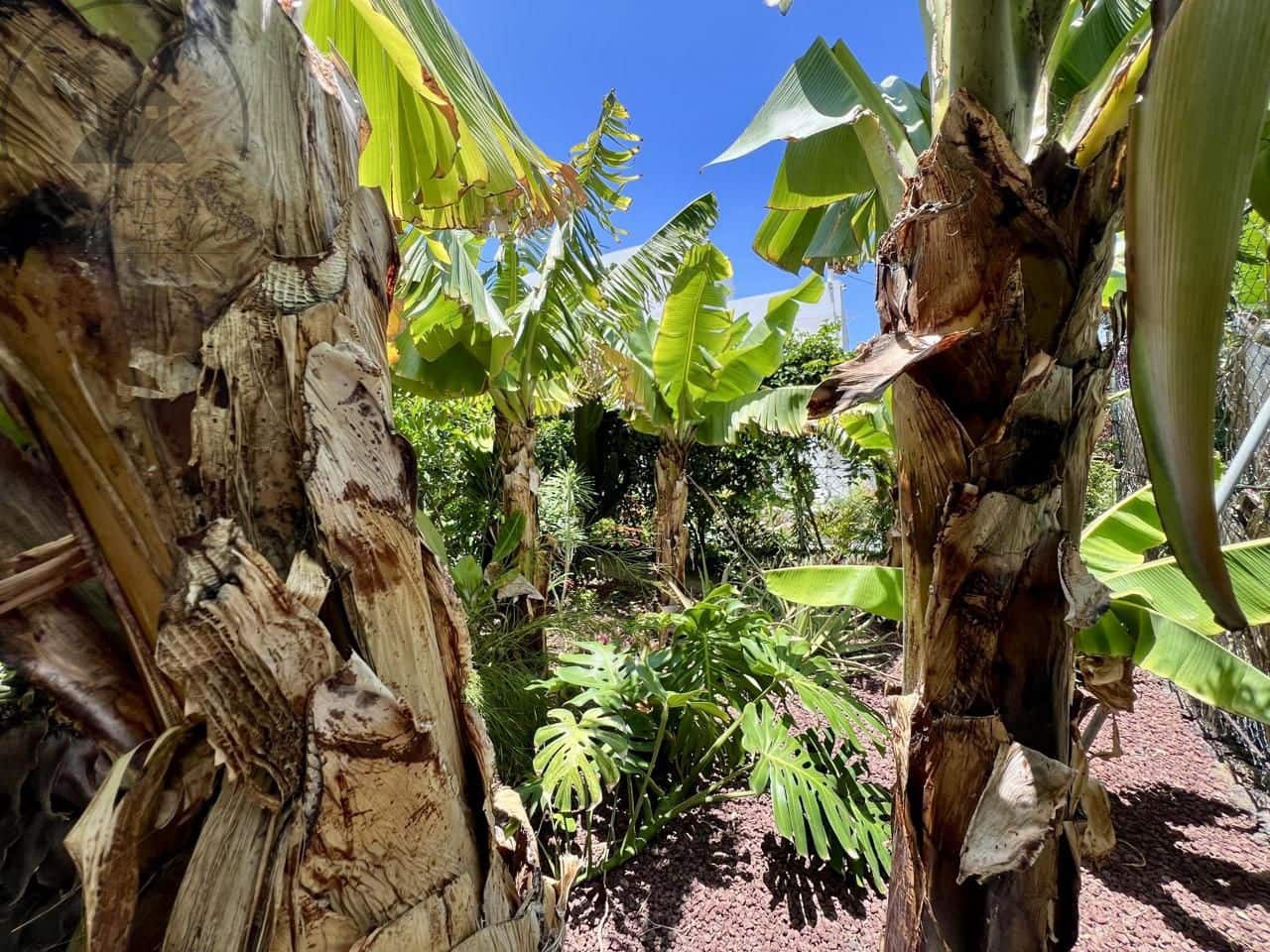 7 bedroom Villa for sale in Garachico with garage - € 850,000 (Ref: 9062088)