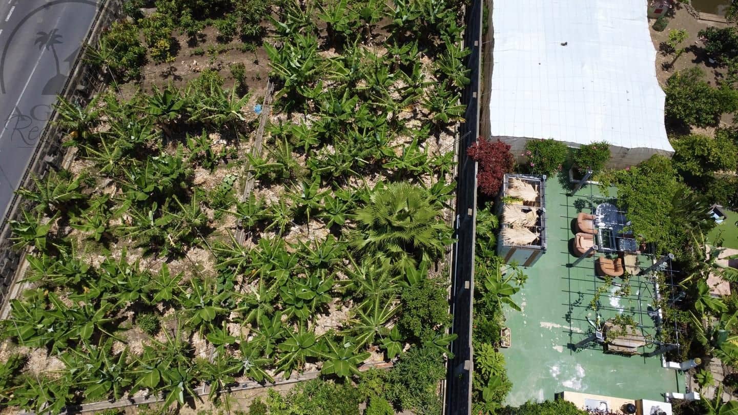 7 bedroom Villa for sale in Garachico with garage - € 850,000 (Ref: 9062088)