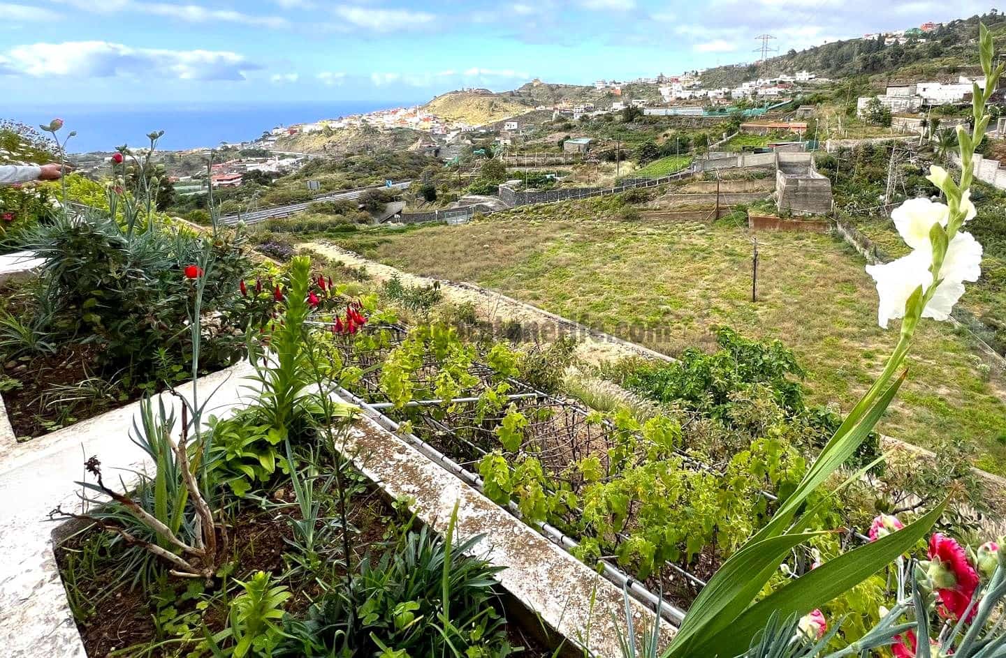 8 soveværelse Finca/Landehus til salg i Icod de los Vinos med swimmingpool - € 2.250.000 (Ref: 9096335)