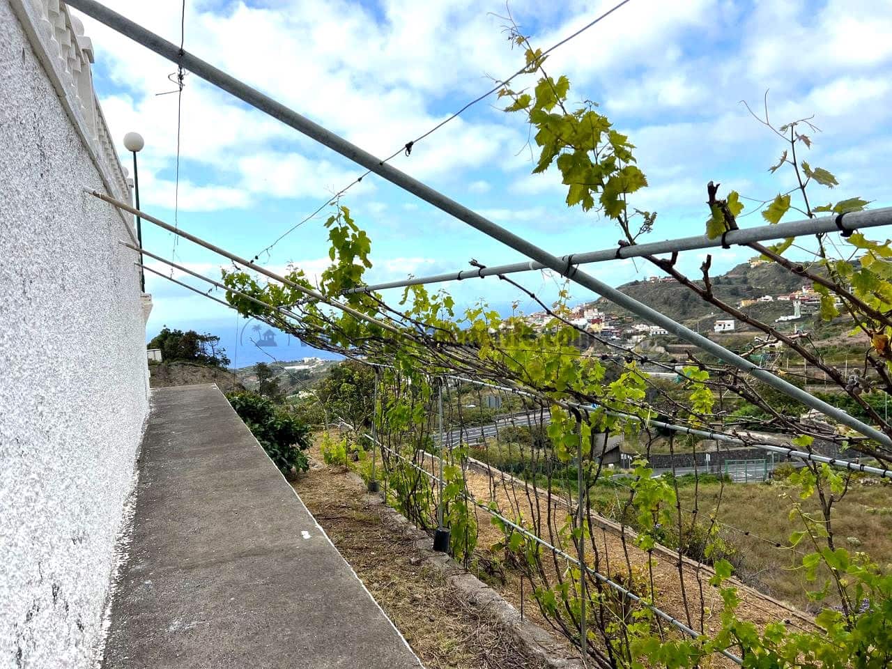 8 soveværelse Finca/Landehus til salg i Icod de los Vinos med swimmingpool - € 2.250.000 (Ref: 9096335)