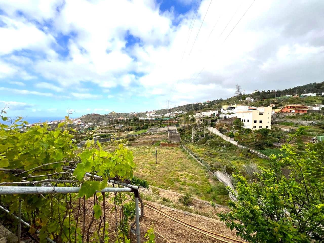 8 soveværelse Finca/Landehus til salg i Icod de los Vinos med swimmingpool - € 2.250.000 (Ref: 9096335)