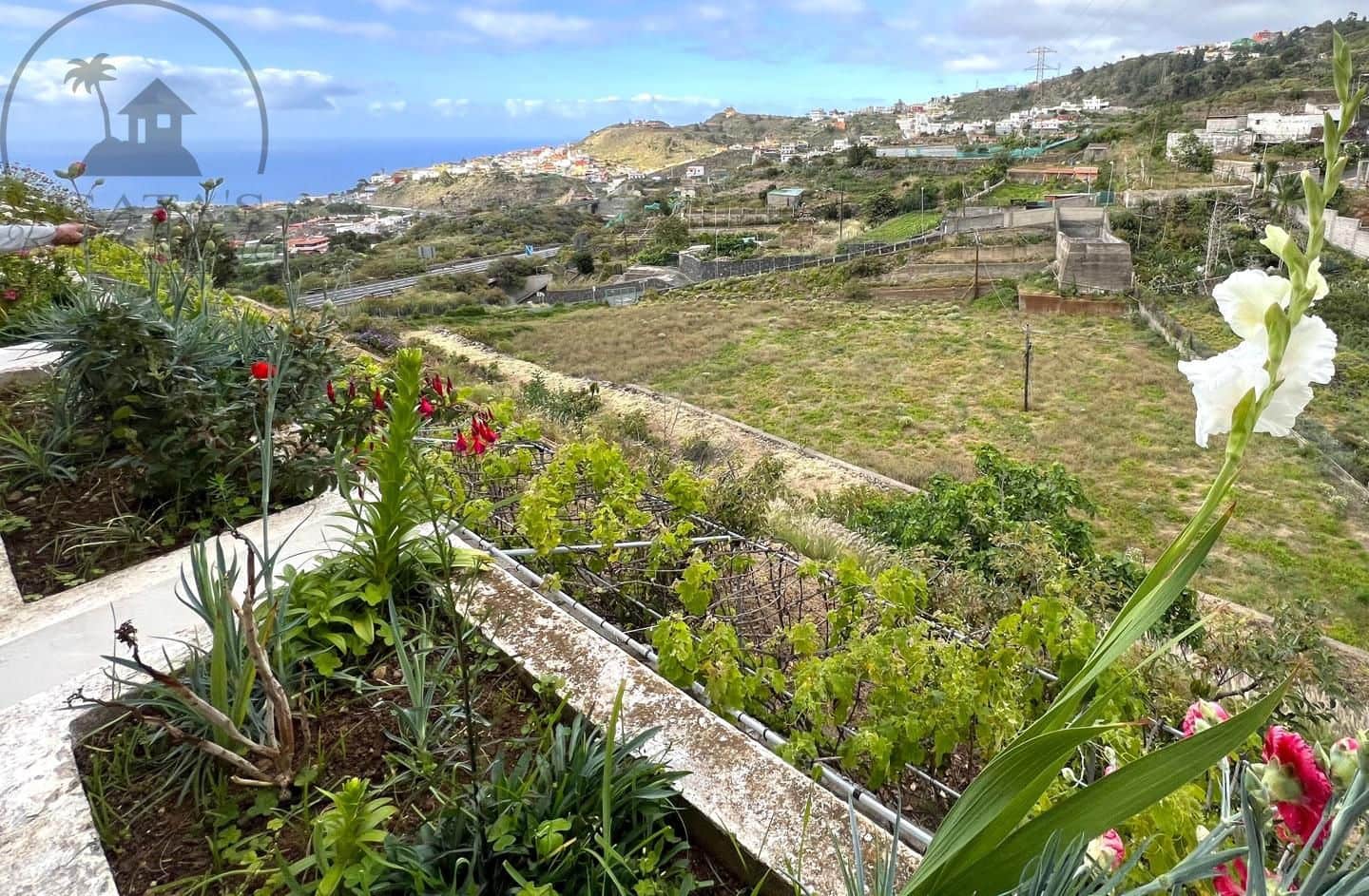 8 quarto Quinta/Casa Rural para venda em Icod de los Vinos com piscina - 2 250 000 € (Ref: 9096335)