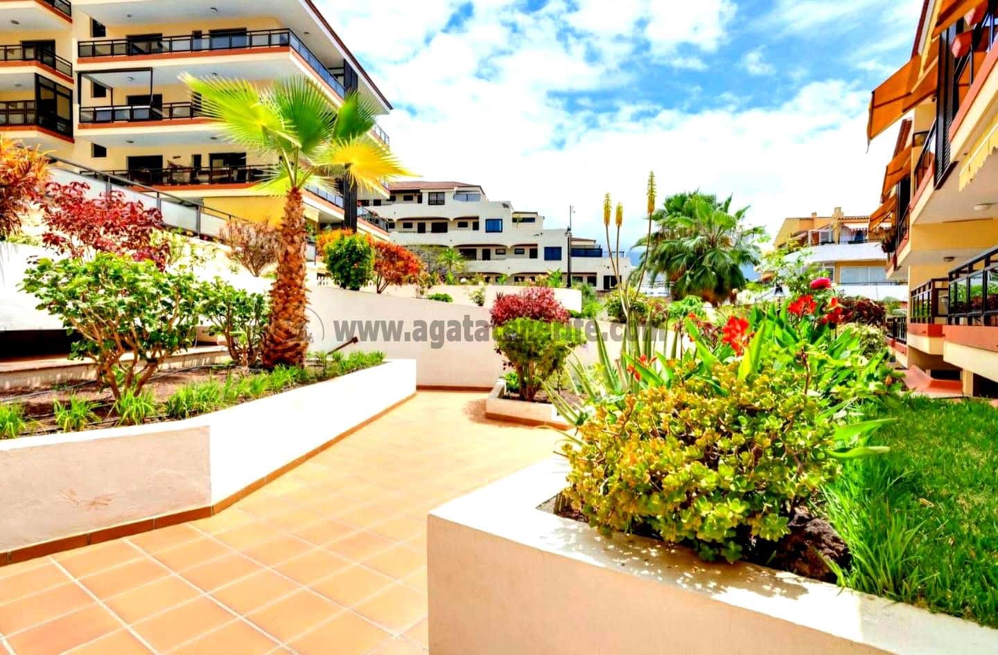 1 bedroom Flat for rent in Puerto de la Cruz with pool - € 1,150 (Ref: 9153352)