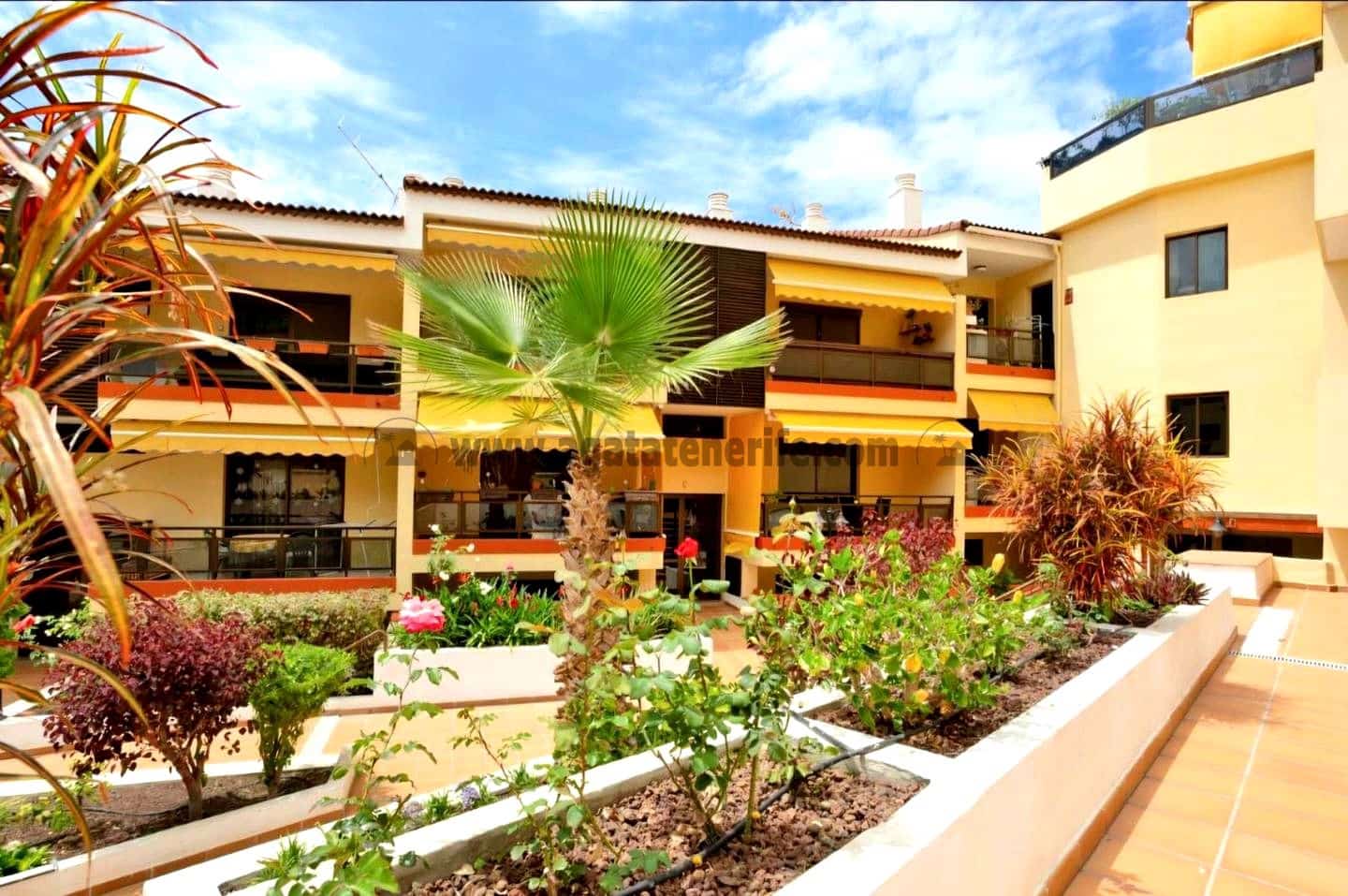 1 bedroom Flat for rent in Puerto de la Cruz with pool - € 1,150 (Ref: 9153352)