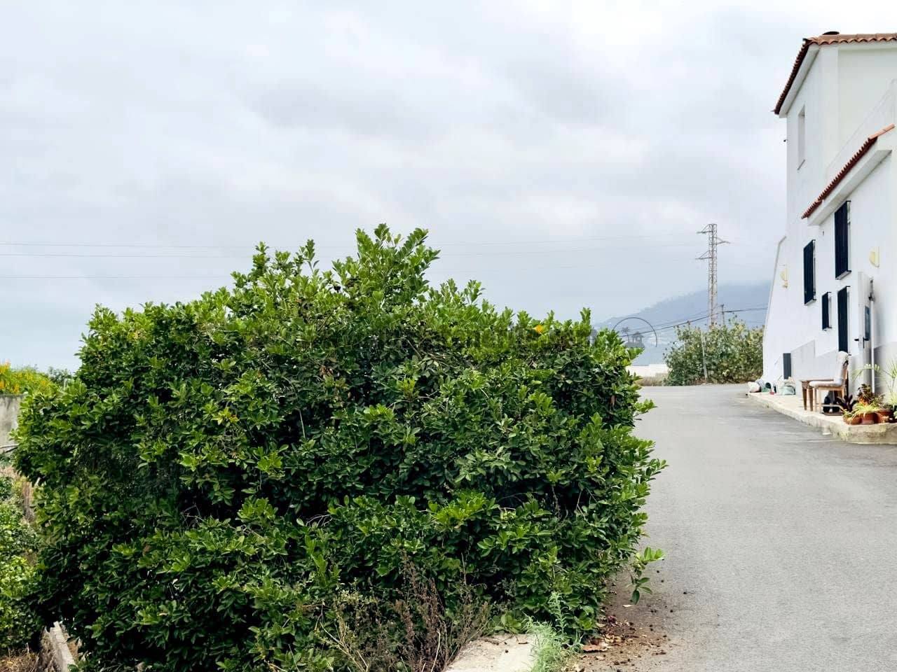 8 bedroom Finca/Country House for sale in La Orotava - € 1,400,000 (Ref: 9163184)