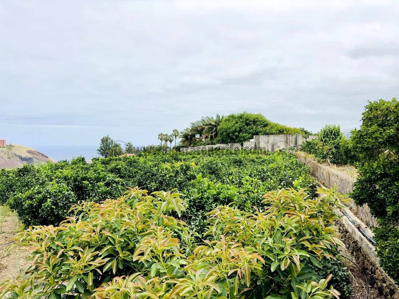 8 bedroom Finca/Country House for sale in La Orotava - € 1,400,000 (Ref: 9163184)