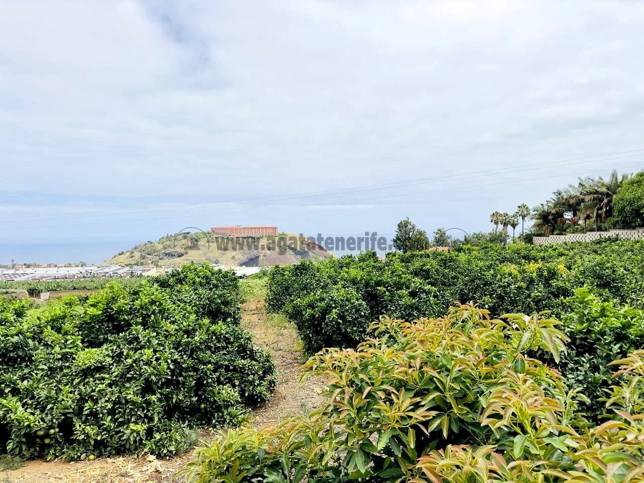 8 bedroom Finca/Country House for sale in La Orotava - € 1,400,000 (Ref: 9163184)