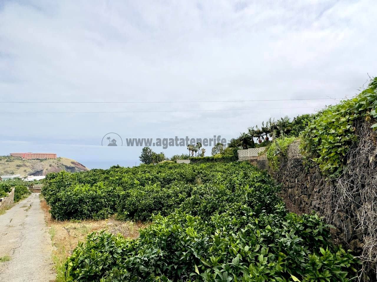 8 bedroom Finca/Country House for sale in La Orotava - € 1,400,000 (Ref: 9163184)