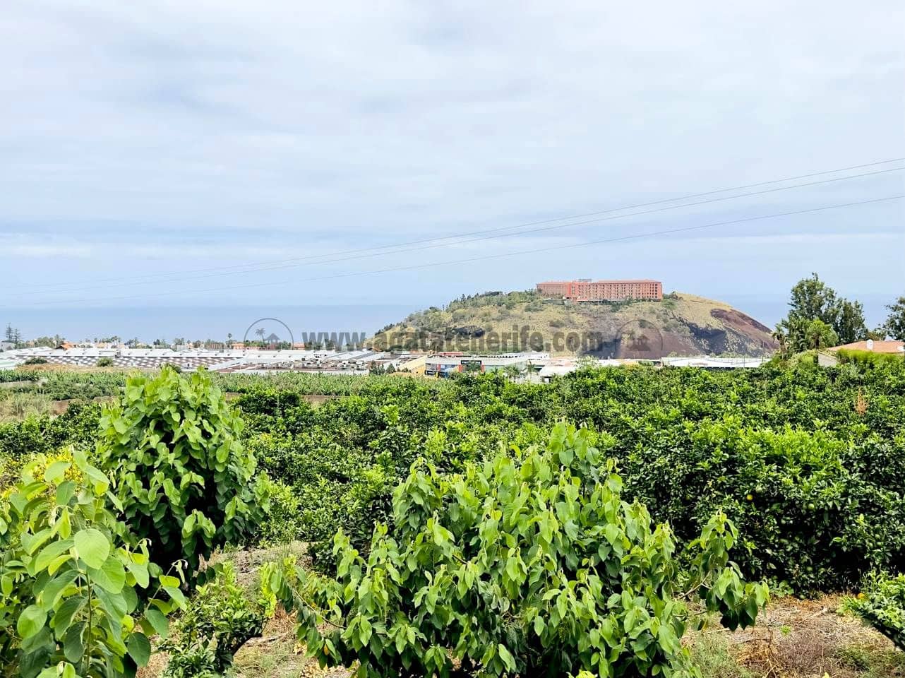 8 bedroom Finca/Country House for sale in La Orotava - € 1,400,000 (Ref: 9163184)