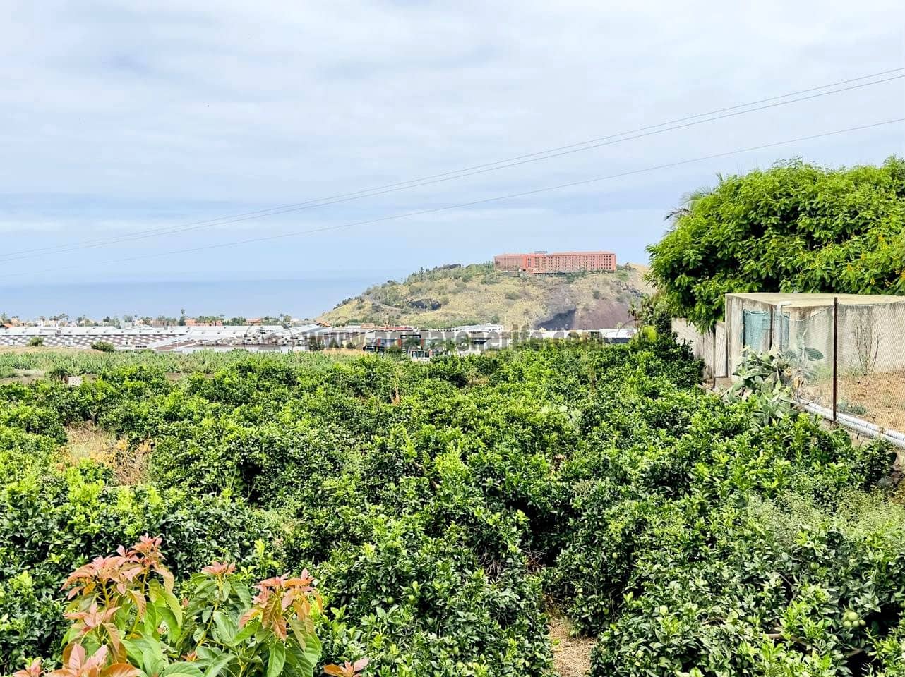 8 bedroom Finca/Country House for sale in La Orotava - € 1,400,000 (Ref: 9163184)