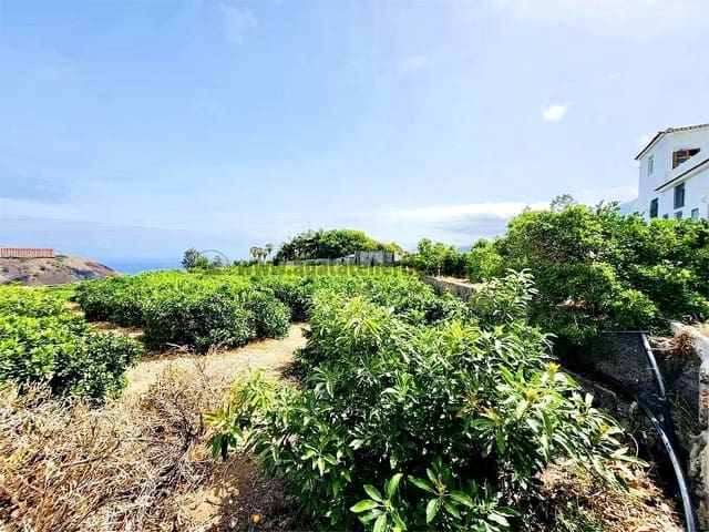 8 sypialnia Finka/Dom wiejski na sprzedaż w La Orotava - 1 400 000 € (Ref: 9163184)