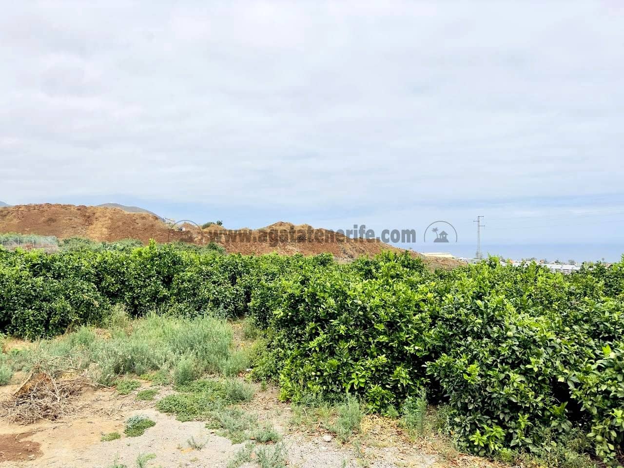 8 bedroom Finca/Country House for sale in La Orotava - € 1,400,000 (Ref: 9163184)