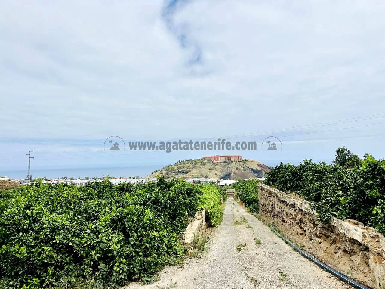 8 bedroom Finca/Country House for sale in La Orotava - € 1,400,000 (Ref: 9163184)