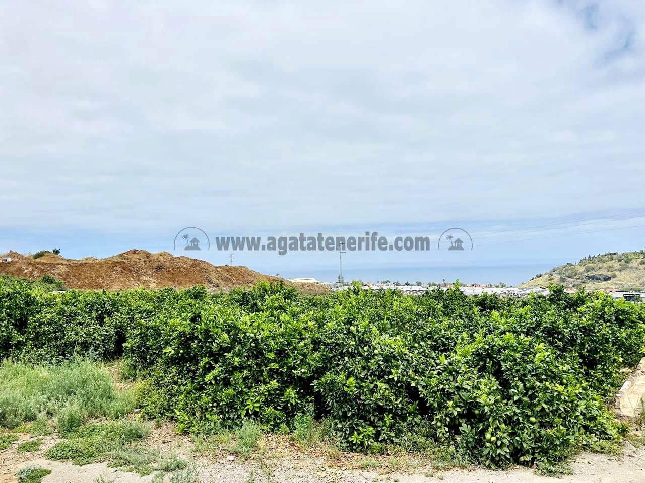 8 bedroom Finca/Country House for sale in La Orotava - € 1,400,000 (Ref: 9163184)