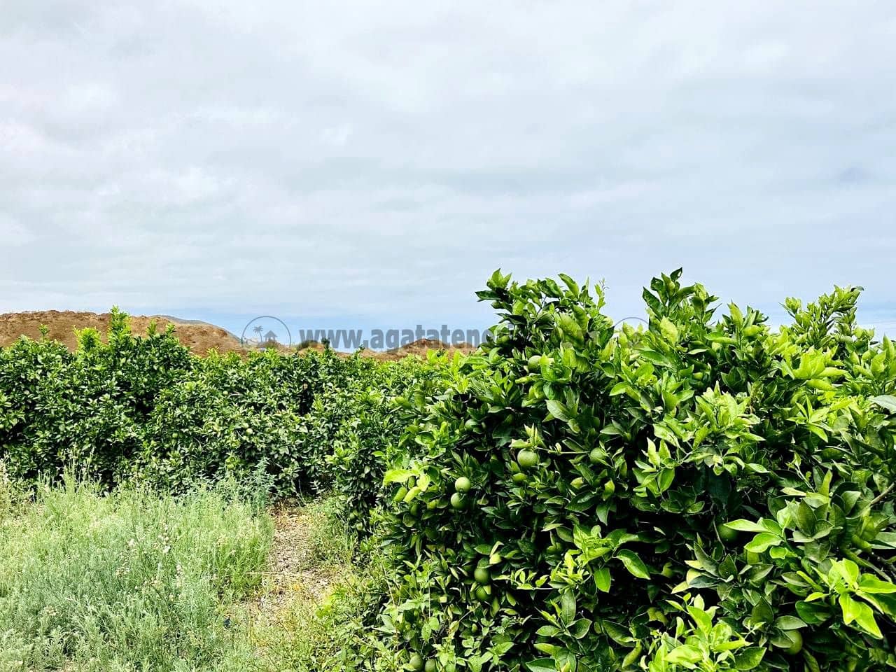 8 bedroom Finca/Country House for sale in La Orotava - € 1,400,000 (Ref: 9163184)