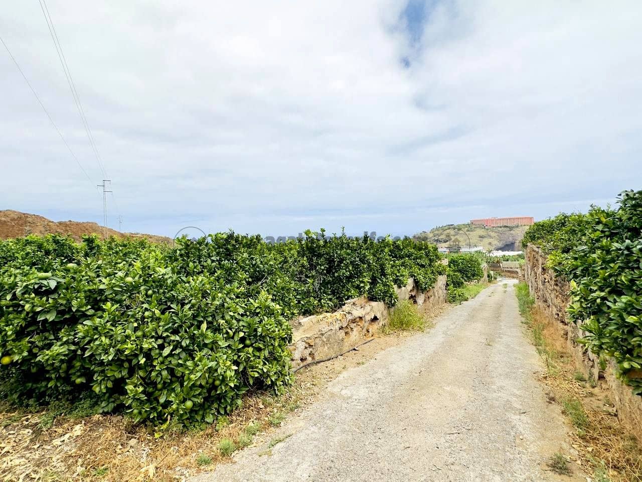 8 bedroom Finca/Country House for sale in La Orotava - € 1,400,000 (Ref: 9163184)