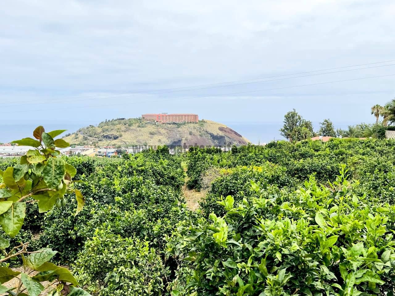 8 bedroom Finca/Country House for sale in La Orotava - € 1,400,000 (Ref: 9163184)