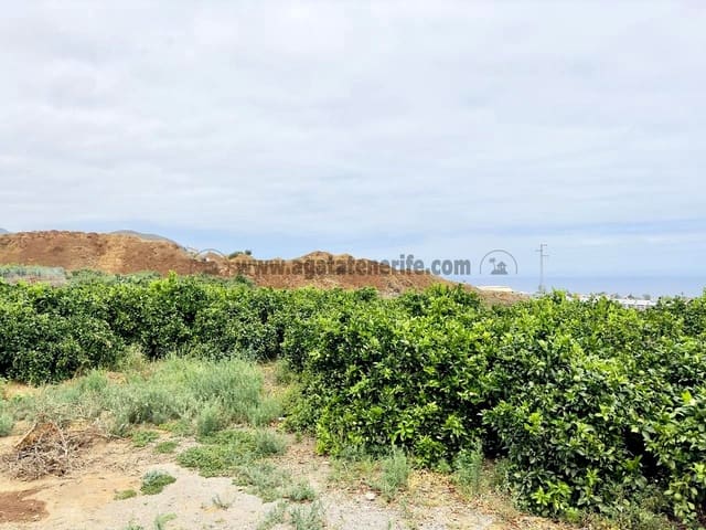 8 sypialnia Finka/Dom wiejski na sprzedaż w La Orotava - 1 400 000 € (Ref: 9163184)